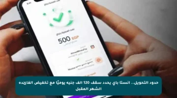 حدود التحويل.. إنستا باي يحدد سقف 120 ألف جنيه يوميًا مع تخفيض الفائدة الشهر المقبل